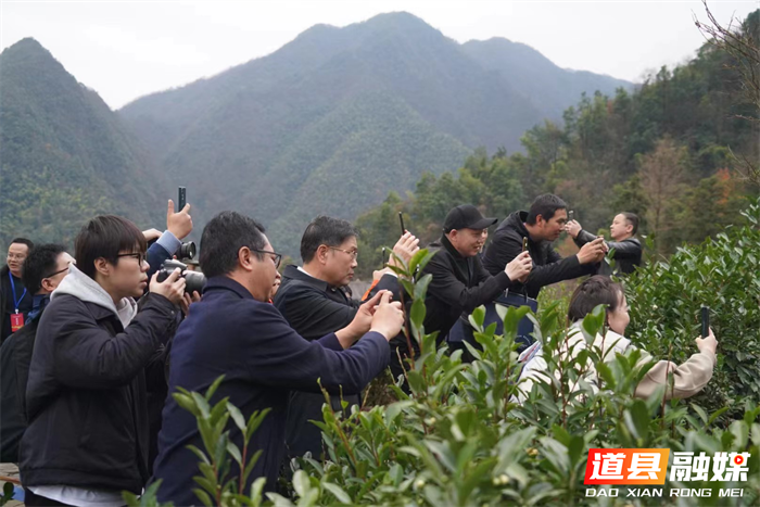 一见倾新 出神入化 全省新闻战线编辑记者代表新化采风采访活动走进紫鹊界、渠江源7_副本.png