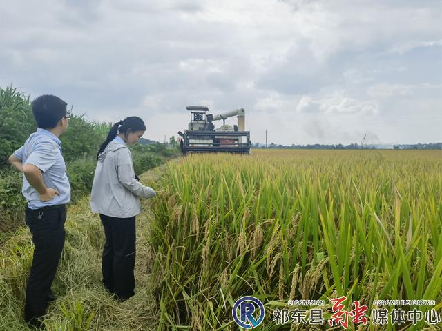 w_IMG_20230905_143353.jpg w_IMG_20230905_143353.jpg