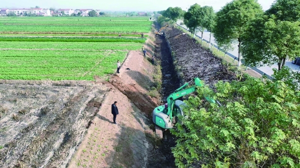 江南镇沟渠清淤施工现场。方浩 摄.jpg 江南镇沟渠清淤施工现场。方浩 摄.jpg