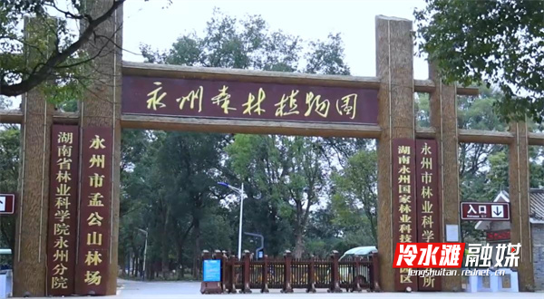 园1.jpg