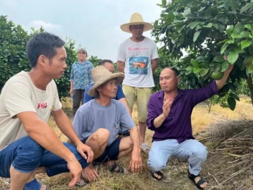 农技干部在水果基地现场传授种植技术。受访单位供图