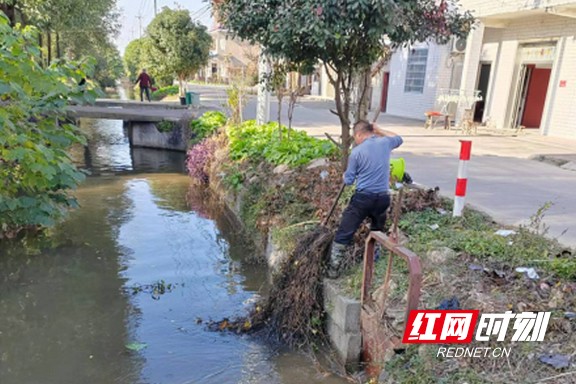 南县中鱼口镇：“河长制”助力水清岸绿常相伴