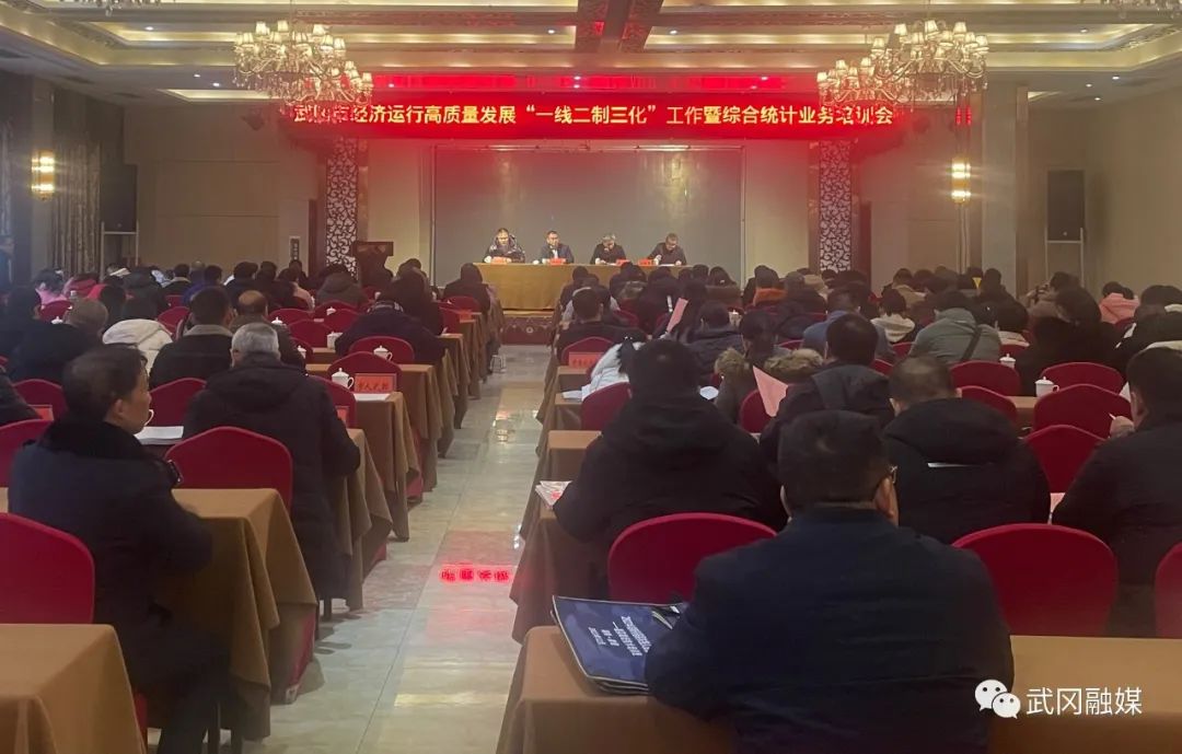 武冈市召开第五次全国经济普查登记暨综合统计业务培训会(图2)