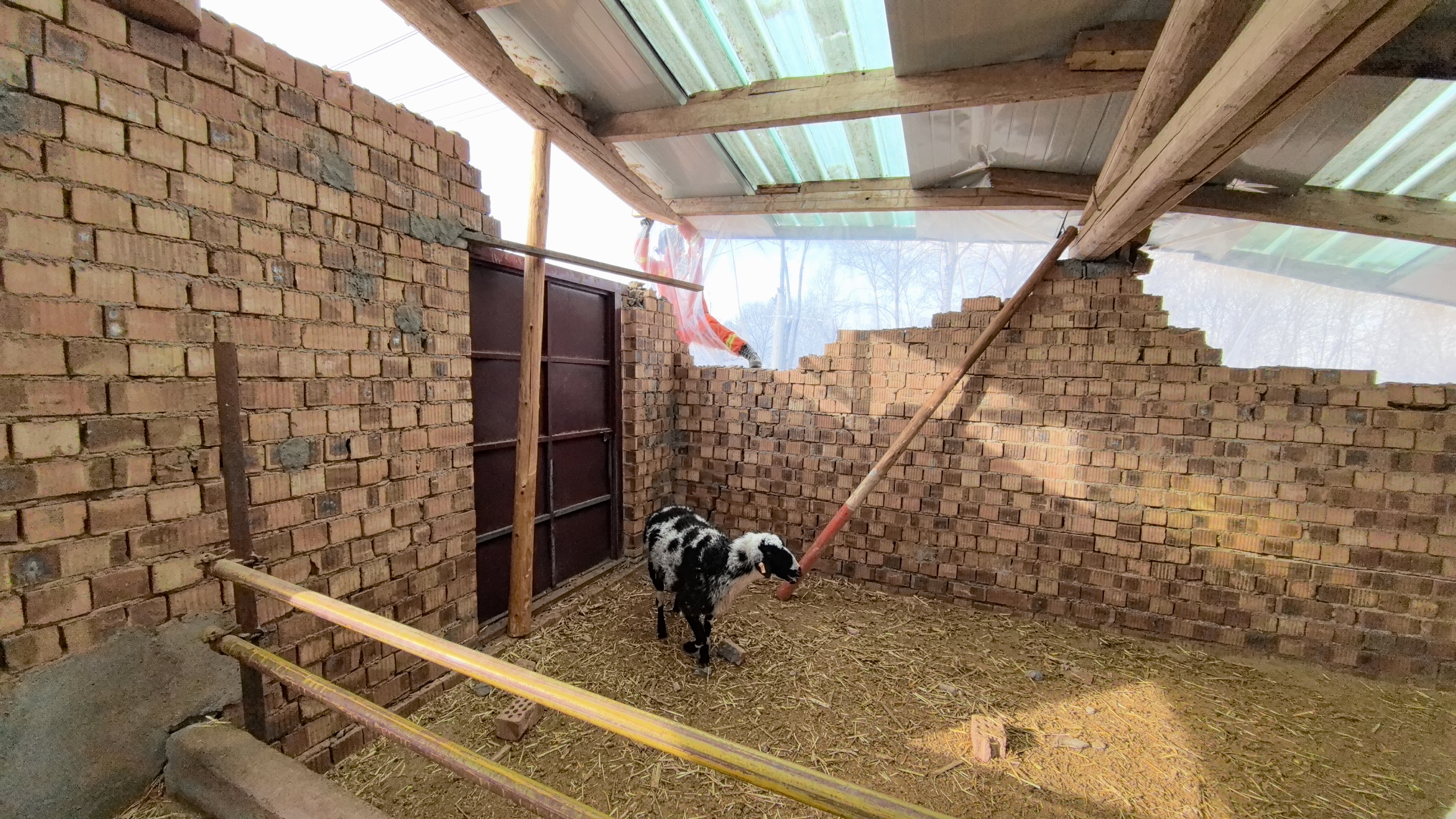 “驻村包点”救援工作全面展开 “驻村包点”救援工作全面展开