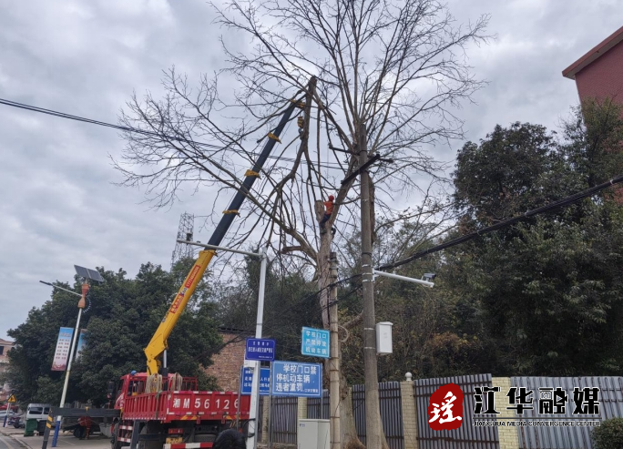 微信截图_20231227153135.png