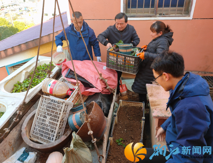 12栋清菜.png 12栋清菜.png