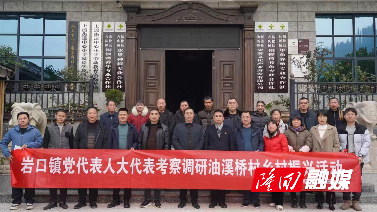 岩口镇党代表、人大代表到新化县油溪桥村开展乡村振兴工作调研(图1)