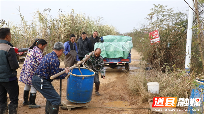 道县：新年“起鱼”忙 鱼跃人欢喜丰收3_副本.png