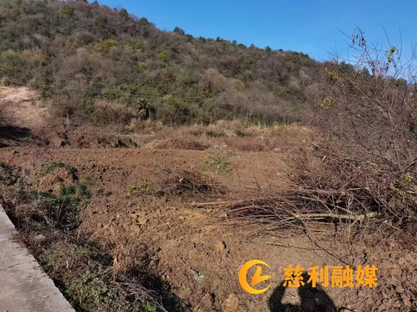 “非粮化”.jpg