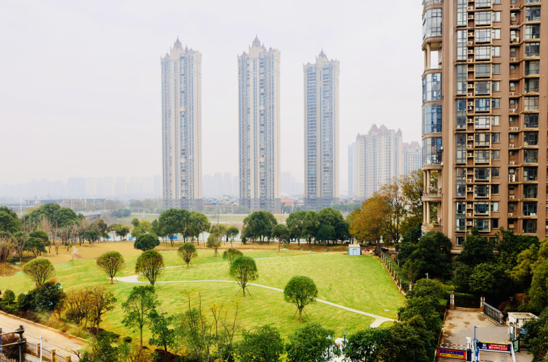 臟臭菜地變“口袋公園”，撈刀河畔添新綠。