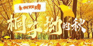 红网专题丨永州双牌·桐子坳的秋