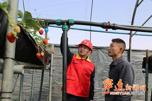 宁远：优质电力护航冬日“莓”好时光_副本500.jpg