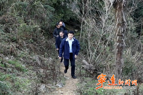 胡勇刚深入清水桥镇调研古树名木保护工作_副本500.jpg