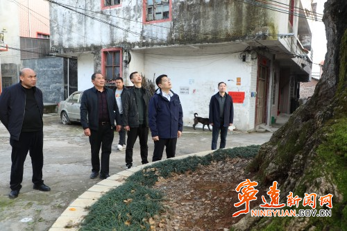 胡勇刚深入清水桥镇调研古树名木保护工作2_副本500.jpg