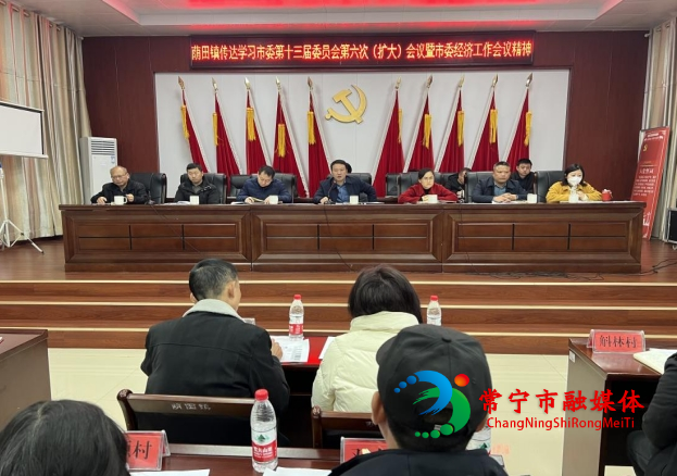 荫田镇传达学习市委十三届委员会第六次全体会暨市委经济工作会议精神.png