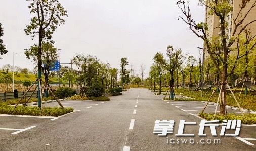 萬科城周邊荒地變成美觀實用的生態(tài)停車場。