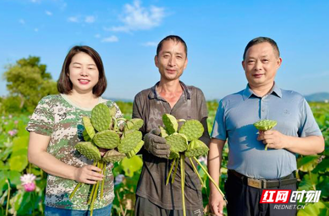 沈容：一名“湖南省十佳农民”的代表之路