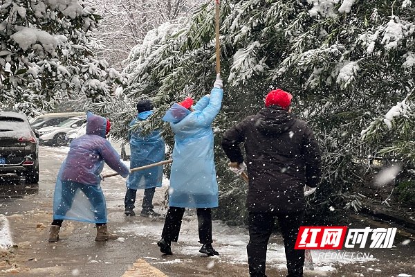 党建引领凝心聚力 “浴”雪奋斗以“动”制冻4.jpg