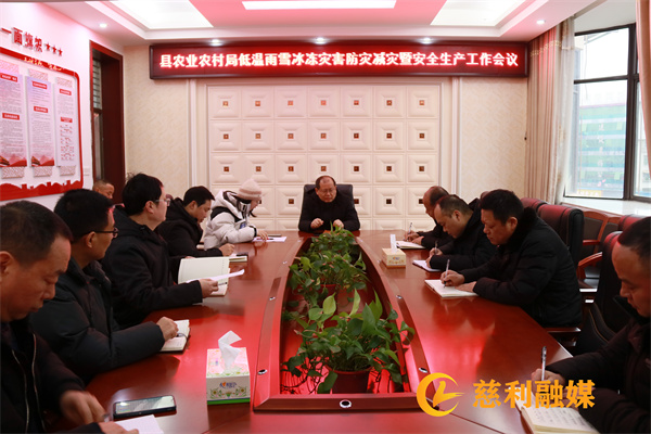 20240122 县农业局低温雨雪冰冻灾害防灾减灾暨安全生产工作会议01.jpg