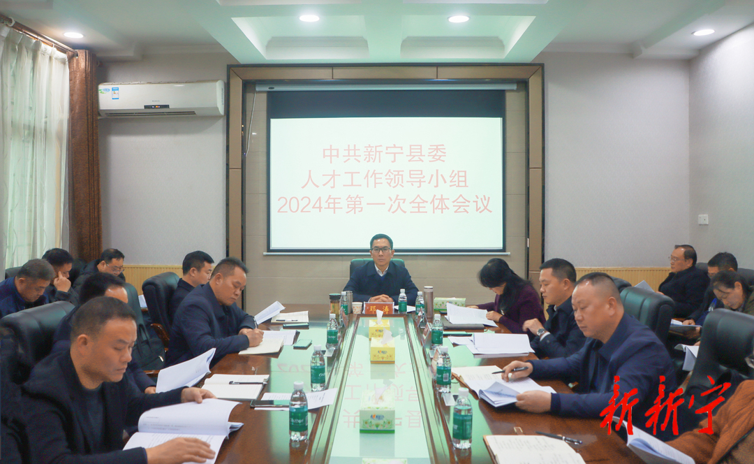 中共新宁县委人才工作领导小组2024年第一次全体会议召开(图1)