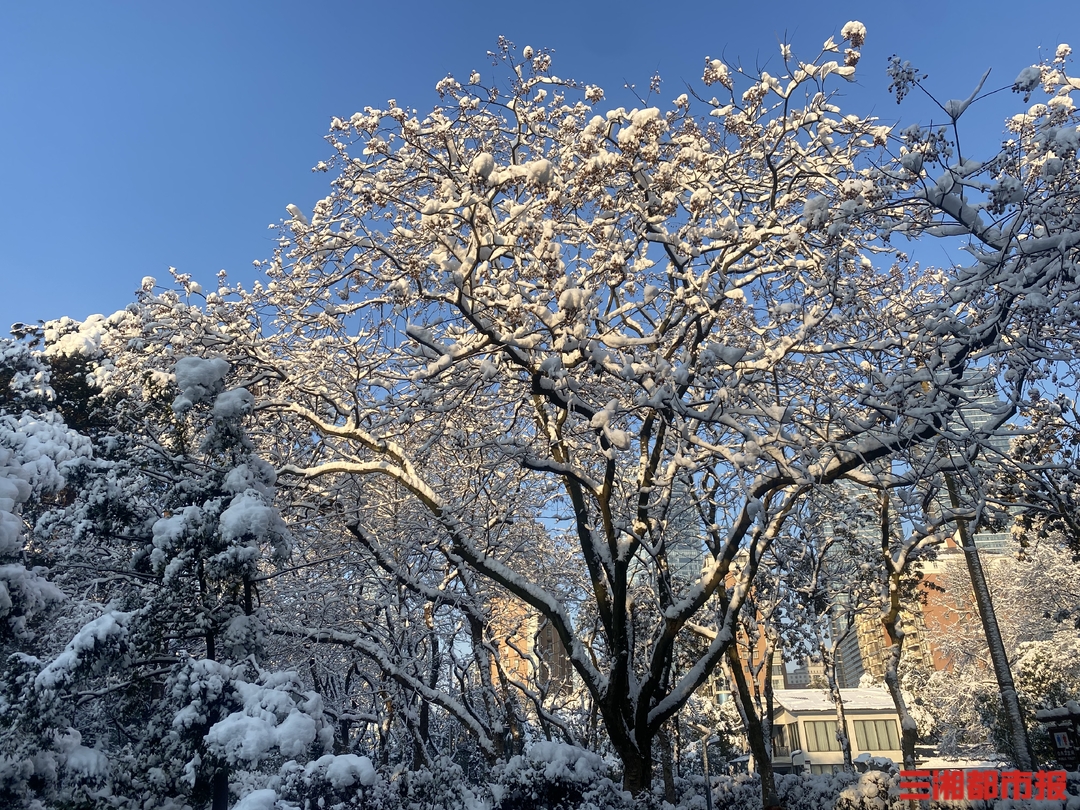 图集 | 长沙雪后初霁
