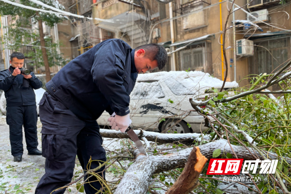 区域化党建聚合力 保障道路“畅”与“安”1.jpg