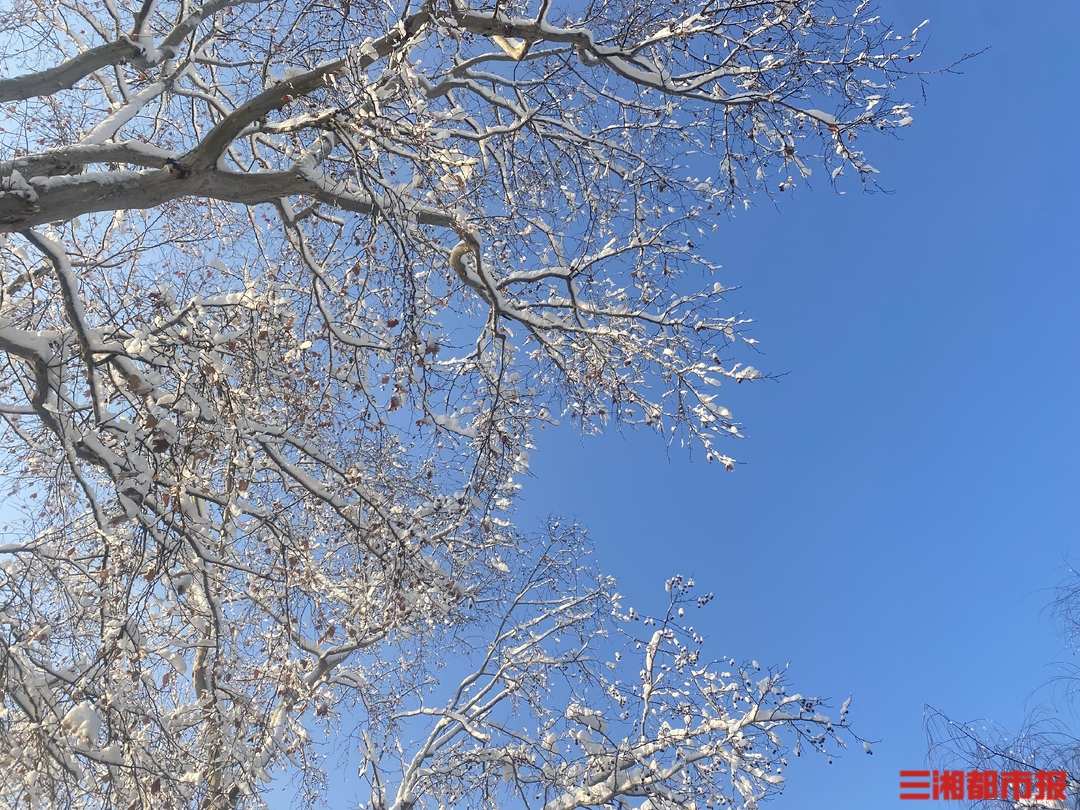 图集 | 长沙雪后初霁