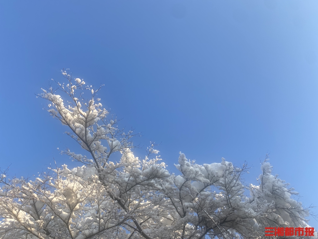 图集 | 长沙雪后初霁