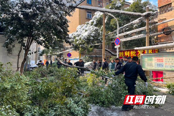 区域化党建聚合力 保障道路“畅”与“安”2.jpg