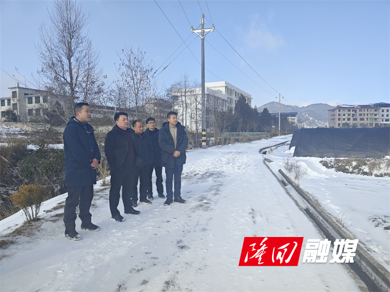贺海飞到麻塘山乡调研冰雪天气导致的受灾情况(图1)