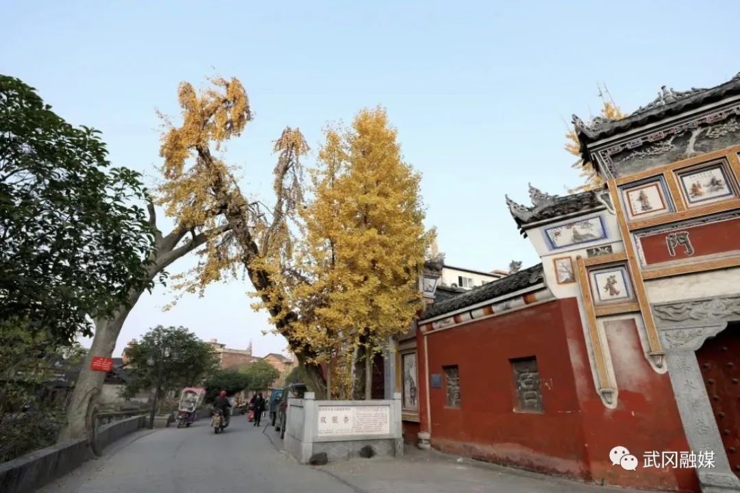 赵为济：建议支持武冈市申报国家历史文化名城(图4)