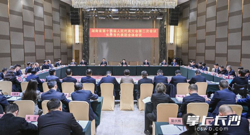 1月24日下午，出席省十四届人大二次会议的长沙市代表团集中审议政府工作报告。长沙晚报全媒体记者 余劭劼 摄