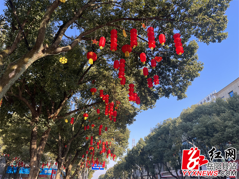 灯笼被挂在树上装饰县城.jpg