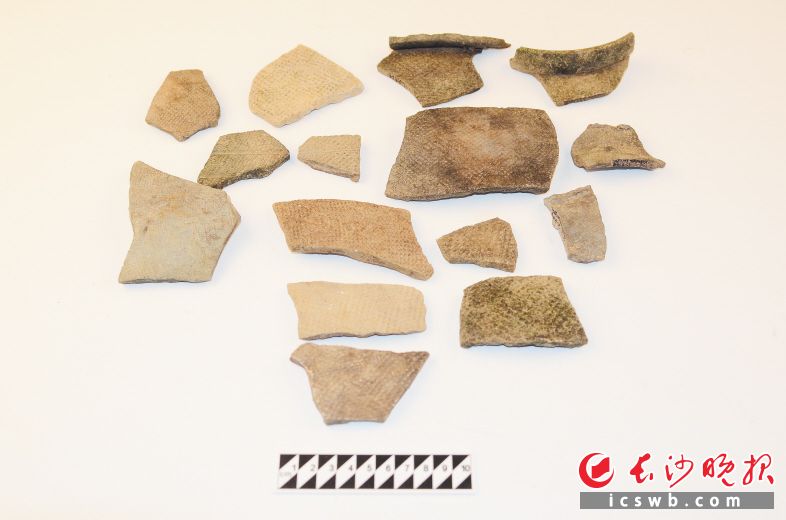 　　考古人员在望城团头湖先秦遗址采集到的古代陶器标本。 　　长沙晚报通讯员 张大可 供图