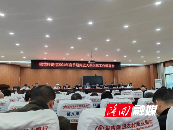 隆回县桃花坪街道召开春节期间蓝天保卫战部署会议(图1)