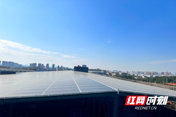 小标3.jpg