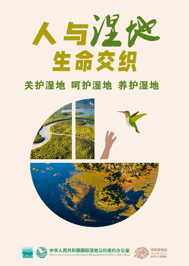岳阳市全面启动“世界湿地日”宣传活动