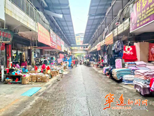 宁远多部门开展违规占道经营联合整治行动_副本500.jpg