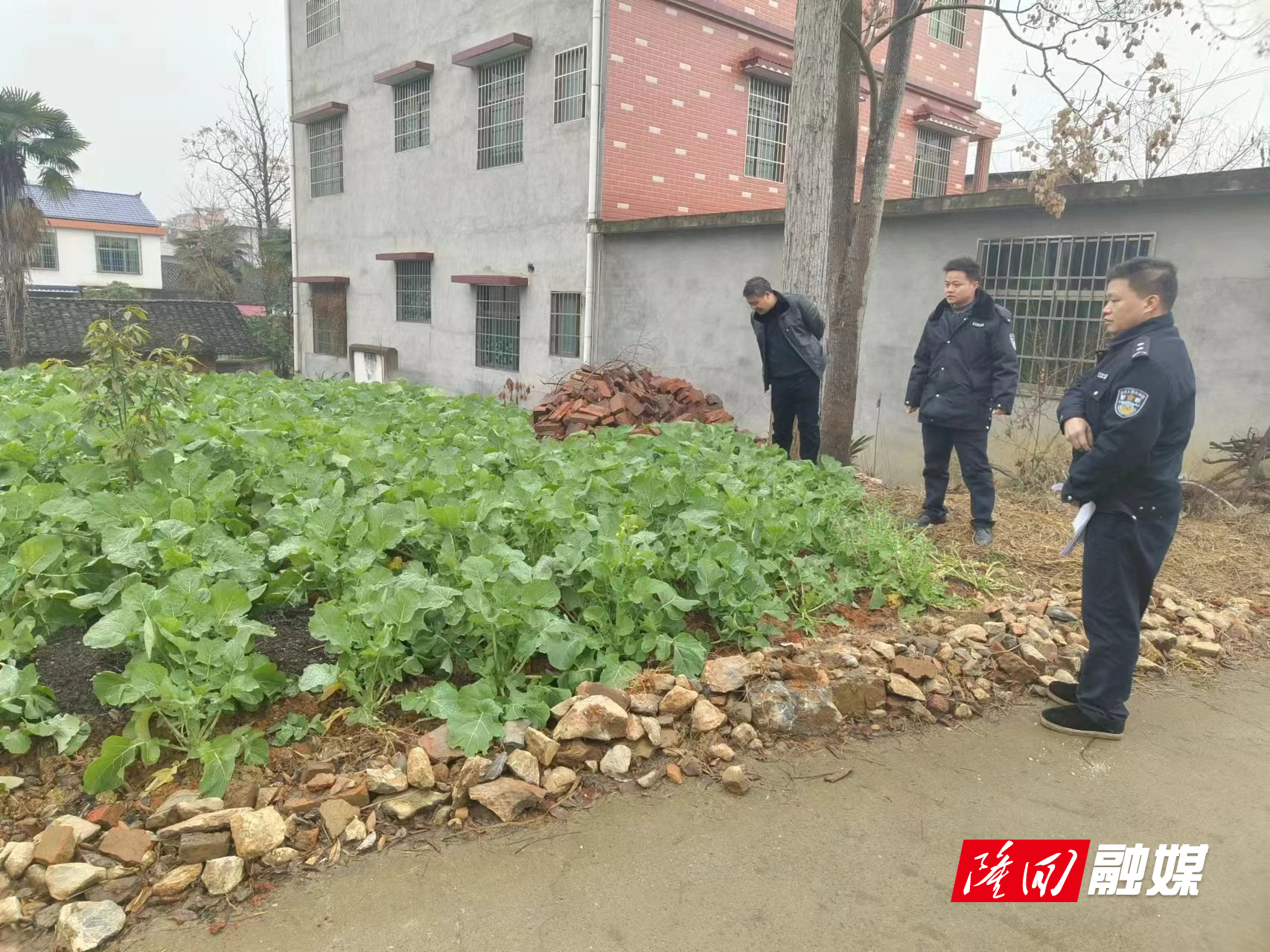 横板桥镇开展禁种铲毒踏查专项行动(图1)