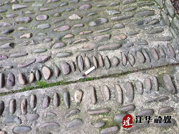 微信图片_20240202161331.jpg