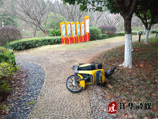 微信图片_20240202161336.jpg