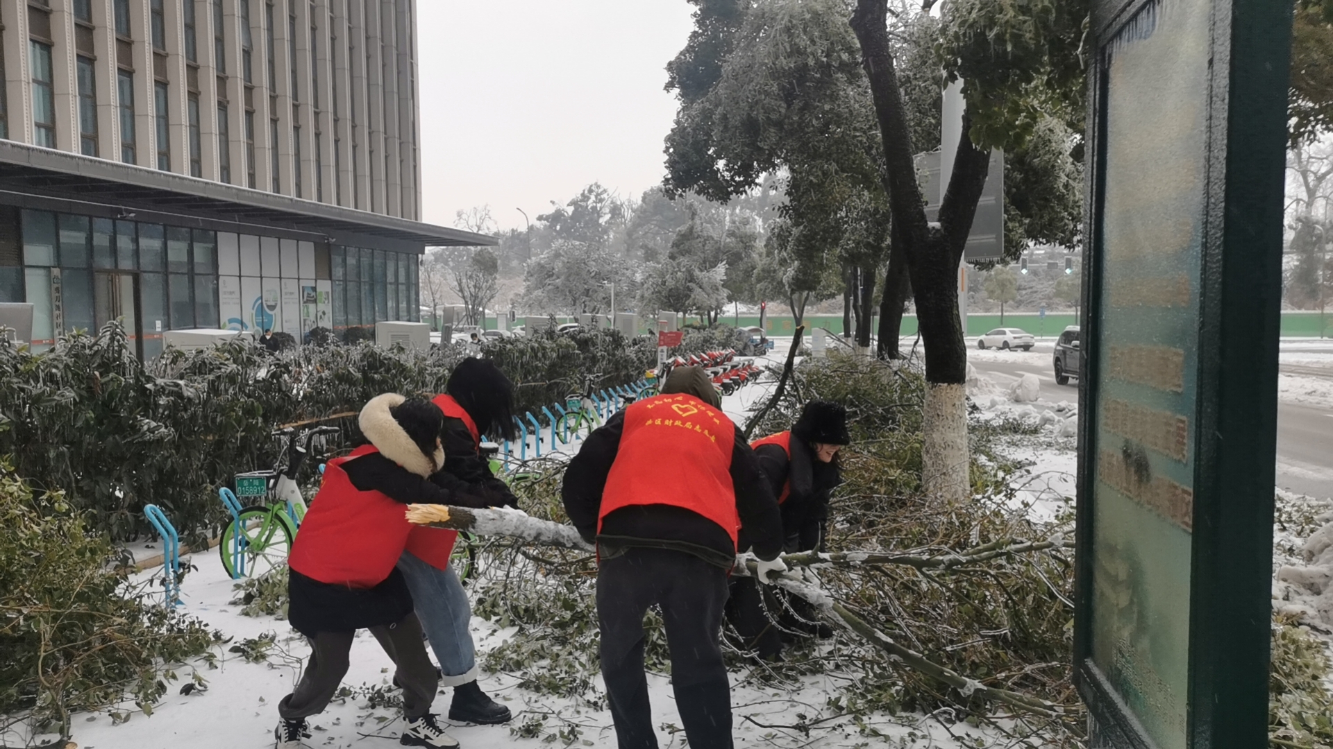 图片33333.jpg
