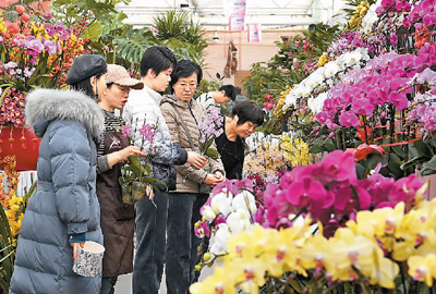 中国是全球最大的康乃馨、百合切花生产国