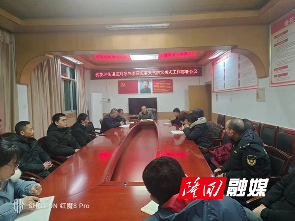 桃花坪街道开展冰冻雨雪灾害天气防灾减灾工作部署会议(图1)