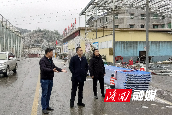 雷勇到小沙江镇督导调度低温雨雪冰冻天气防范应对工作(图1)
