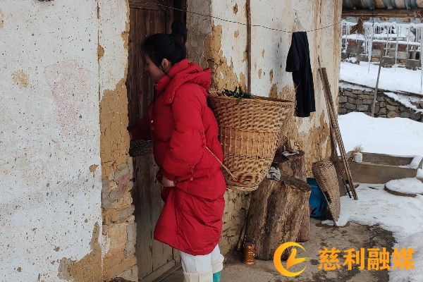 微信图片_20240207151748_副本.jpg