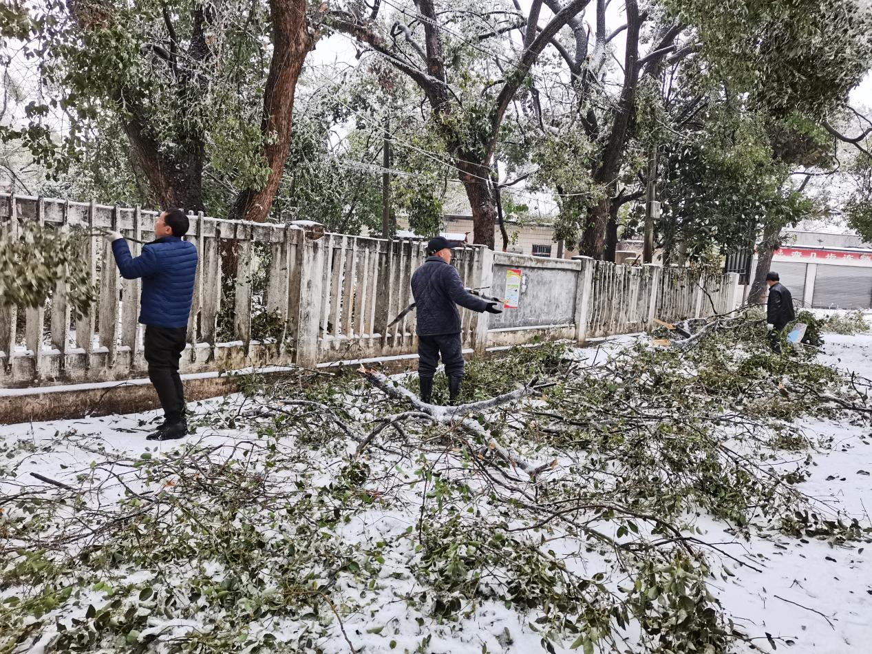 图片21.jpg 图片21.jpg