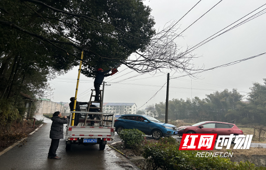 路口社区树枝.png
