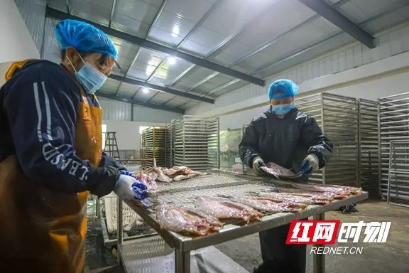 22.marked.jpg 图片