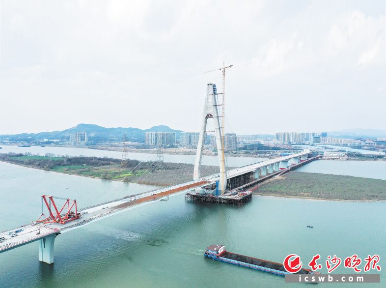 香炉洲大桥是湘江上跨度最大、主塔最高的独塔斜拉桥，去年12月底主桥正式合龙，目前正在进行桥面及附属设施施工。长沙晚报全媒体记者 王志伟 摄